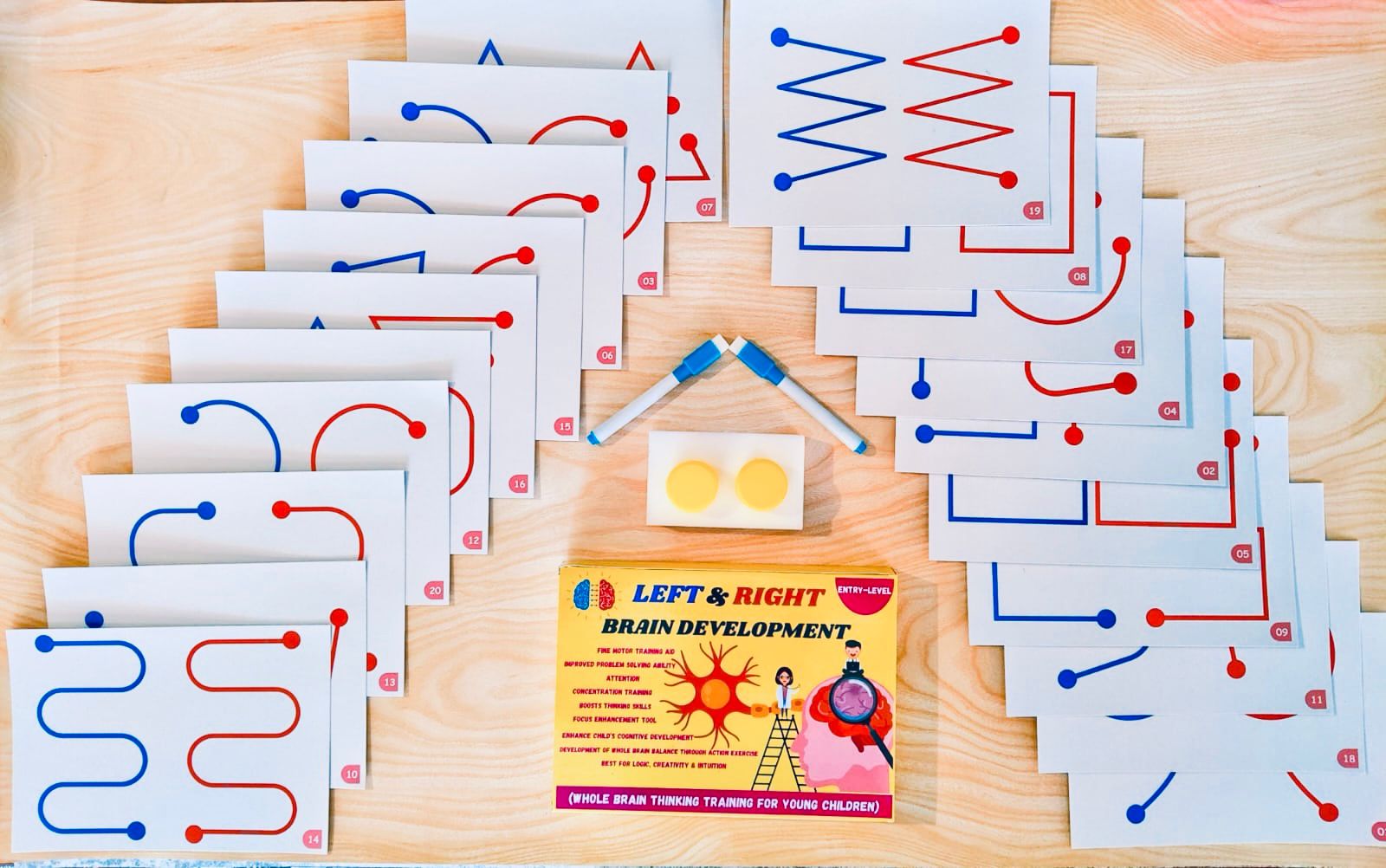 Left Right Brain Development Reusable Cards - Online Ordering @ Aristo Kids